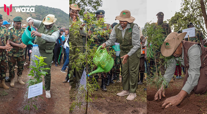 First Lady launches strategy to plant 500 million trees by 2032